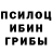 Галлюциногенные грибы Psilocybe Vyacheslav Kurter