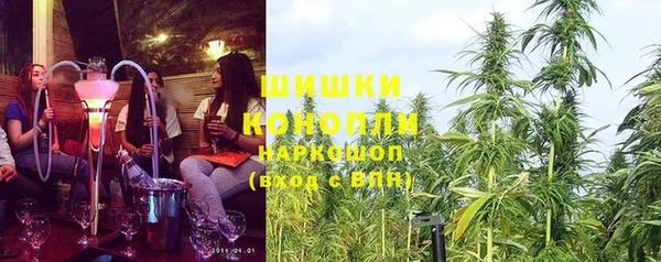 ECSTASY Осинники