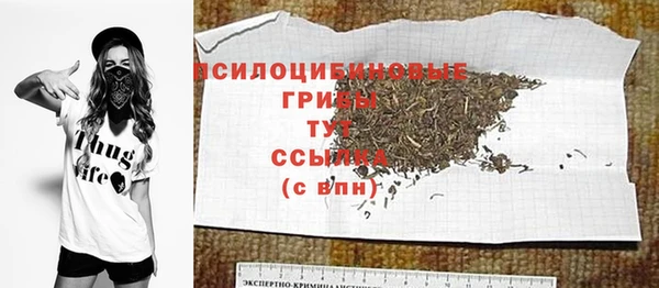 дживик Осташков