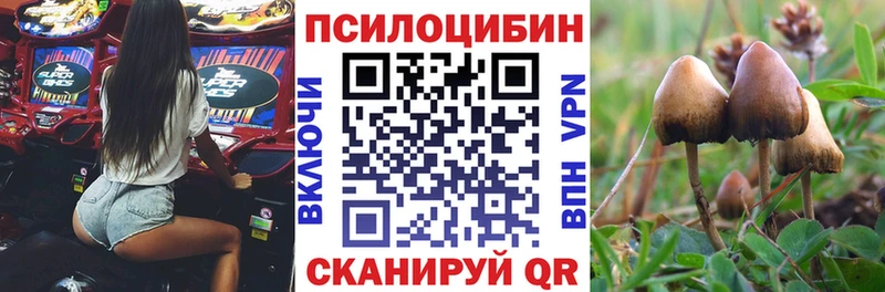 Галлюциногенные грибы Cubensis  darknet состав  Серафимович 