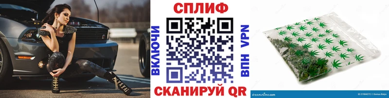 Конопля индика  Серафимович 